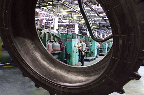 Алтайшина (3)