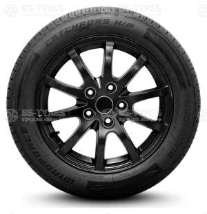 Windforce Catchfors HP 195/65 R14 89H